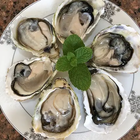 New arrival good price frozen half shell oyster