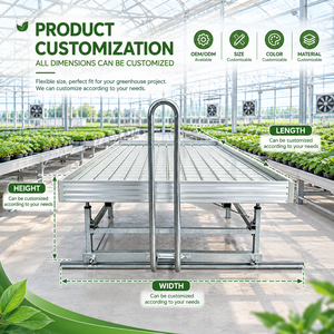 Table de culture mobile pour pépinière, système d'irrigation manuel à flux et reflux, gain de place, pour plantes, fleurs, culture hydroponique - Product Image 3