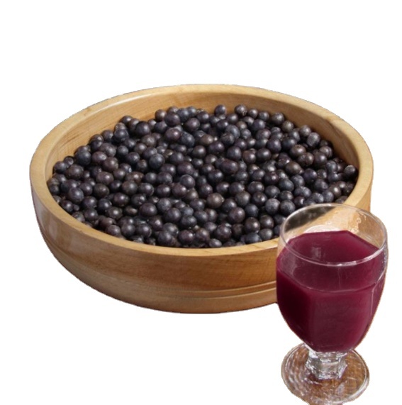 Wholesale Freeze Dried Acai Berry Fruit Powder in Bulk
