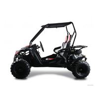 Buggy électrique 4x4 TBM K3 avec moteur 208CC et transmission automatique