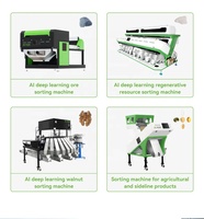3a Grade Chinese Voedsel Gedroogde Fruitzak Verpakking Pinda Pit Walnoten Pitten Sorteermachine Vorm Kleur Sorteerder 99.99%