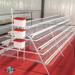 Jaulas para Gallinas Ponedoras al por Mayor, Jaulas Duraderas y Grandes para Cría de Pollos de Engorde para Granjas Avícolas - Product Image 1