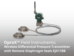 นิวโยโกกาว่า- Ejx118b ไดอะแฟรมแบบไร้สาย พร้อมเอาต์พุต 4-20 มิลลิแอมป์ ปิดผนึกด้วยสแตนเลส 316 รับประกัน 18 เดือน - Product Image 2