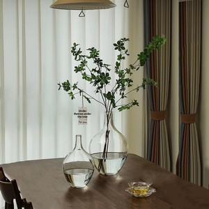 Vase de décoration moderne Vases à fleurs de table en verre gris clair Ballon Transparent Rond Grand <span class=keywords><strong>Ventre</strong></span> Grand Vase en verre pour déco - Product Image 4