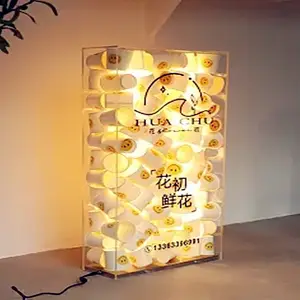 Caixa de luz transparente para logotipo 3D, logotipo acrílico transparente, caixa de luz LED para marca, com iluminação de fundo, para lojas, escritórios e estúdios, logotipo de estúdio