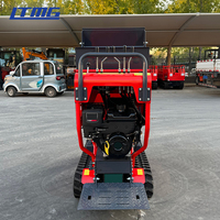 LTMG Brand New Design Carrier Petit camion à benne basculante 500kg High Lift Mini Dumper Truck hydraulique haute performance