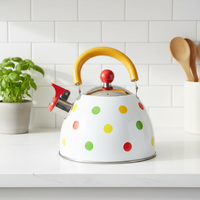 Bouilloire à eau Sanny de haute qualité, 3,0 L, en acier inoxydable, compatible induction, écologique, fonction sifflet, lave-vaisselle