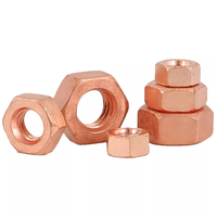 M3 M4 M5 M6 M8 M10 M12 T2 Écrou hexagonal hexagonal en cuivre rouge massif Écrous conducteurs en bronze de silicone pour armoires de communication