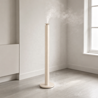 Diffuseur d'huiles essentielles de luxe en gros avec télécommande et lumière LED, coffret cadeau, diffuseur d'arômes pour hall d'hôtel, diffuseur de brume ultrasonique