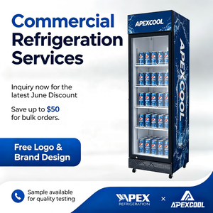 Achetez en gros un réfrigérateur vertical à porte simple pour présentation - Product Image 1