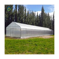 Serres agricoles à structure simple, fabricants de produits en plastique pour serres, serres tunnel en film, serres hydroponiques, serres