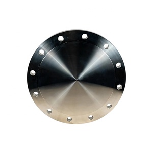 300 # 316L Thép Không Gỉ Lớn Lên Giả Mạo Trượt Mù Mặt Bích - Product Image 6