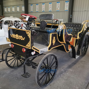 Chariot de Mariage Électrique Classique Style Royal Victorien, Voiturette de Tourisme Sans Chevaux, Buggy d'Extérieur Économique, Vente Chaude Chine - Product Image 4
