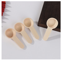 Cuillère en bois ronde miniature naturelle de 2 ml, 5 ml, 10 ml, petite cuillère à glace, miel, lait en poudre, mini cuillère à poudre