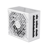 Alimentation électrique entièrement modulaire GAMEMAX GX-1250W PRO WT, ventilateur F.D.B de 135 mm, condensateur japonais, ATX 3.0, PCIe 5.0, 80 Plus Platinum