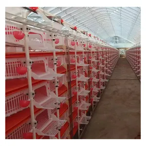 Cage de caille manuelle semi-automatique de type H à 6 niveaux en plastique pp/fournisseur cage de caille pour la couche de production d'œufs