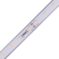 Tira de Luces LED de Corriente Constante de Alta Calidad Cri 97 95 SMD 2835, 12v 24v CC SMD 2835