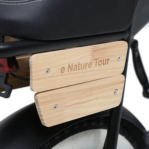 Bicicleta Eléctrica TXED de Estilo Retro Natural con Llantas Gruesas, Manubrio Estilo BMX de Acero, Motor de Cubo Trasero de 250W, Bicicletas Eléctricas Tipo Motocicleta - Product Image 3