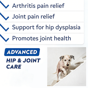 Glucosamine pour chiens seniors et grands chiens, formule avancée pour la mobilité, avec moule à lèvres vertes, chondroïtine, MSM et oméga-3, disponible en stock OEM - Product Image 5