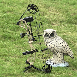 Arc à poulies pour débutants TOPOINT ARCHERY, débutant, 31 pouces, arc de chasse et ensemble de flèches, DL19-30 pouces, DW19-70 livres, kits d'arc à poulies, OEM/ODM - Product Image 5