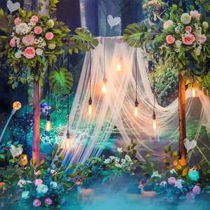 Tela de malla blanca vestido de novia arco al aire libre cumpleaños Homestay estilo con velo elegante boda cortina decoración propuesta - Product Image 1