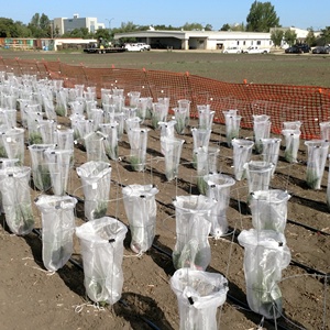 Rete Repellente per Insetti per 5 Anni di Utilizzo Esterno Grado UV <span class=keywords><strong>Gabbia</strong></span> Anti-Insetti Agricoltura Rete Protettiva per Alberi <span class=keywords><strong>da</strong></span> Frutto - Product Image 1