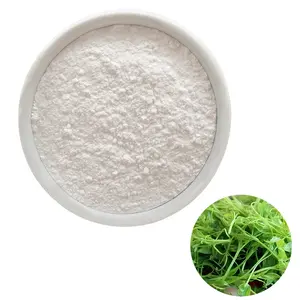 hovenia acerba extract dihydromyricetin dhm 98 in bulk