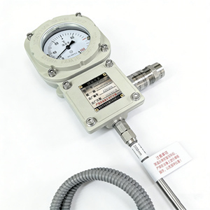 WTY-205 Gasdruck-Thermometer mit Analoganzeige, Heißwiderstandssignal-Ausgang, Nanyang Huaye Zhang Heng - Product Image 6
