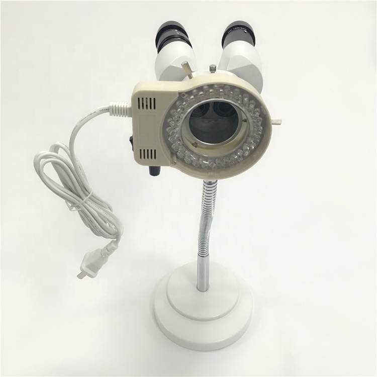 Dental 8 X 10 X Microscopes