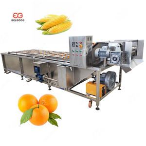 Gelgoog Rambutan Jackfruit Kiwi meyve sebze temizleme makinesi sıralama ve paketleme hattı yıkama hava kurutma ve meyveler için ağda hattı - Product Image 6