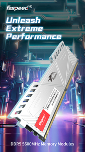 Faspeed Hiệu Suất Cao DDR3 <span class=keywords><strong>RAM</strong></span> 5200MHz 32GB Cho Máy Tính Xách Tay/Minipc U-DIMM 288pin 1.2V - Product Image 6