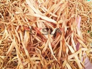 Bán Hot quả óc chó khô phòng Nuts Máy sấy hạt Nuts Thiết bị sấy Quả Óc Chó Hạt Macadamia mất nước - Product Image 4