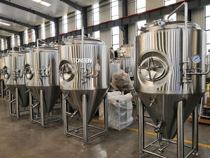 Réservoir de fermentation du <span class=keywords><strong>vin</strong></span> en résine tonomène, plante, nano cervectria - Product Image 4