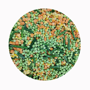 Großhandel Bio IQF Tiefgefrorenes Gemüsemix Gewächshausgezüchtete Karotten und Erbsen Exportqualität - Product Image 5