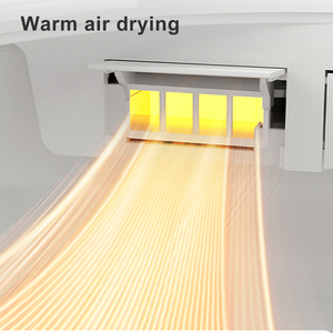 GUIXIN Smart <strong>Toilet</strong> CE Certified for European Use Black Marble-patterned Ceramic Remote Control Included P-trap/S-trap Drainage - Product Image 6