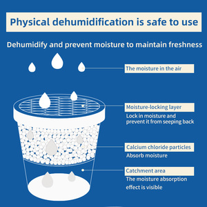 Prévention de la moisissure de granules de chlorure de calcium de charbon actif absorbant <span class=keywords><strong>naturel</strong></span> pour <span class=keywords><strong>d</strong></span>éshumidificateur - Product Image 6