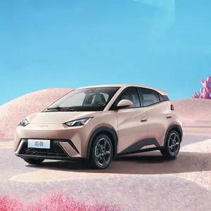 Penjualan Terbaik Tiongkok BYD Seagull 420km kendaraan energi baru mobil listrik kecil