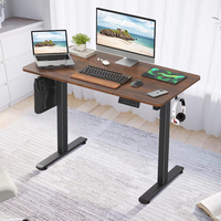 Bureau debout personnalisable avec échantillon gratuit, table d'ordinateur de bureau réglable en hauteur électriquement avec double moteur
