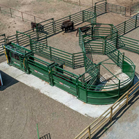 Fabricant de panneau d'élevage Clôture à chevaux Décrochage de bovins Panneau de moutons Panneau de ferme de ranch pour l'Australie