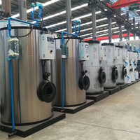 Chaudière à vapeur verticale à tubes de feu LHS 500 kg à chauffage rapide pour le traitement des tissus – Nouveauté 2026 – Offre Spéciale