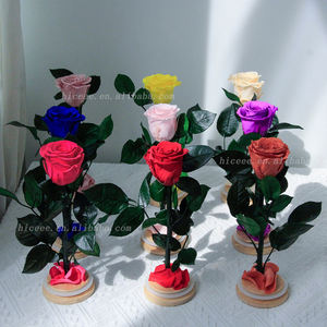<span class=keywords><strong>Rose</strong></span> naturelle préservée faite à la main en gros d'usine avec tige et tube en verre pour la Fête des Mères, fleur éternelle sous cloche, cadeau pour <span class=keywords><strong>Madame</strong></span> - Product Image 2