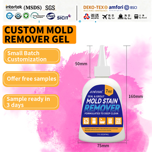 Gel Nettoyant Moussant Professionnel Anti-Moisissure Série Pro, Élimine les Traces <span class=keywords><strong>de</strong></span> Moisissure Tenaces sur les Joints, les Groutings et le Silicone, 200ml - Product Image 1