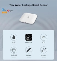 Détecteur de fuite d'eau intelligent EWelink ZigBee à piles, alarme, design en barre, pour maison, garage, hôtel, utilisation extérieure, contrôle par application