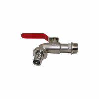 Personnalisé Nouveau Extérieur Doré Eau Bavoir Robinet Moderne En Acier Inoxydable Noyau Zinc Machine À Laver Robinet De Jardin En Laiton Cuivre Bibcock