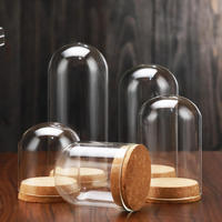 Glazen koepelvormige display met kurken deksels, decoratieve cloche, belvormige glazen stolp, planten specimen, knutselwerk, Pasen, eeuwige bloem, LED verlichte afdekking