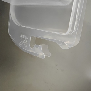 Tùy Chỉnh Pet PVC Nhựa 4X6 Inch Rõ Ràng Bản Lề Vỏ Sò Vỉ Bao Bì Container Khay Cho Mints - Product Image 4