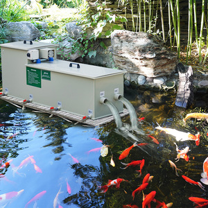 QihangRAS Home Use Garden Koi <strong>Pond</strong> <strong>Filter</strong> System 10m3/h <strong>UV</strong> Bio-Bacteria Combi Drum <strong>Filter</strong> for Aquarium Aquaculture Equipment - Product Image 2