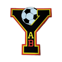 Écussons en TPU 3D personnalisés en relief - Badges thermocollants pour logos d'équipes de football, vêtements de marque, chapeaux, rectangulaires