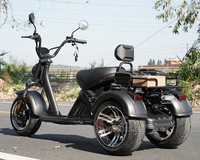 3 tekerlekli üç tekerlekli bisiklet Citycoco 3 tekerlekler Citycoco 2000w Citycoco kıyıcı elektrikli motosiklet