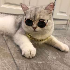 Venta al por mayor perros gatos mascotas gafas de sol creativas de moda de lujo cristal fotografía estudio Props Navidad - Product Image 1